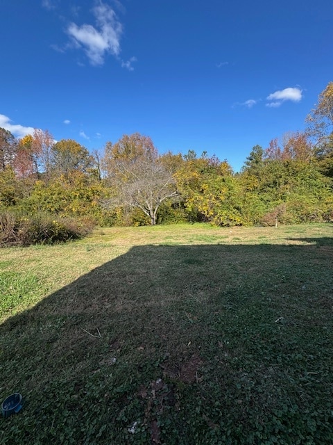 Building Photo - 204 Brisco St