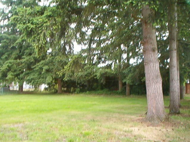 Building Photo - 3 bedroom 2 Bath All New and Upgraded Easy Access to Shops & Frwy $2900 a Month.