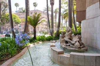 Foto del edificio - 211 California Ave