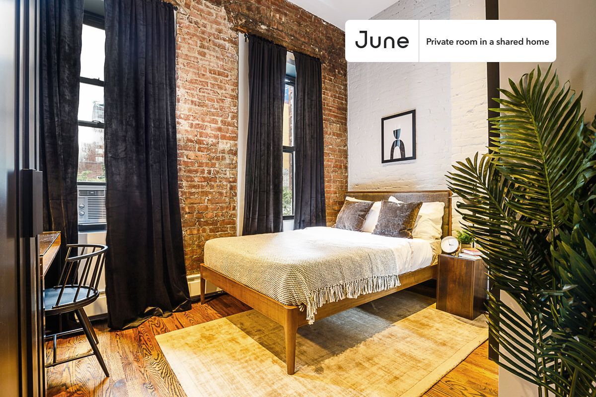 Private bedroom in 4 bed/2 bath Home - Private bedroom in 4 bed/2 bath Home
