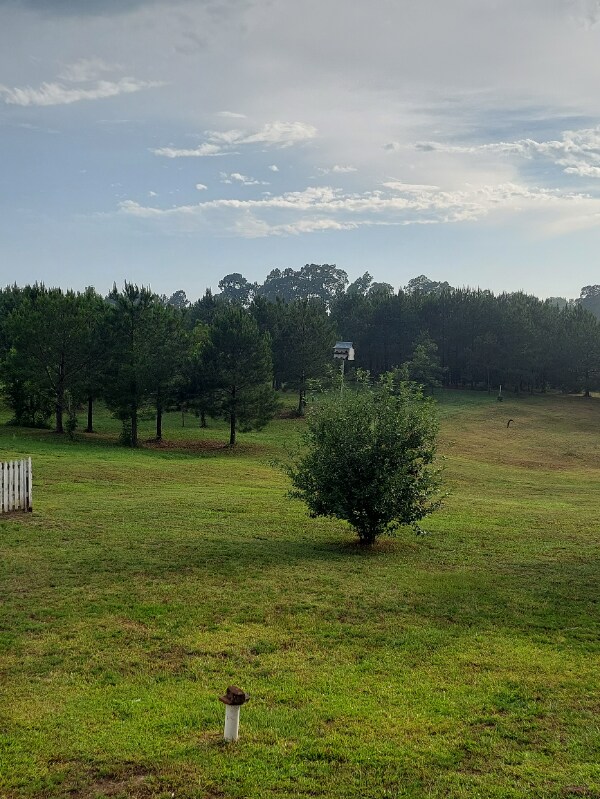 Foto del edificio - 745 Demoss Rd