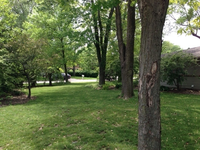 Building Photo - West Lafayette Schools Single Family Home Large Spacious 4 bedroom/2bath