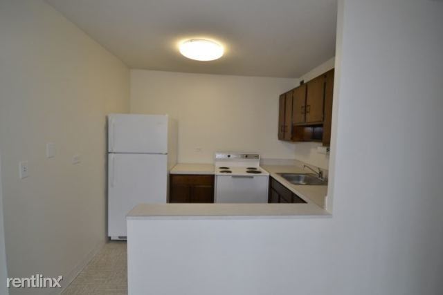 Building Photo - 1 br, 1 bath Condo - City Flats Chicago Fa...