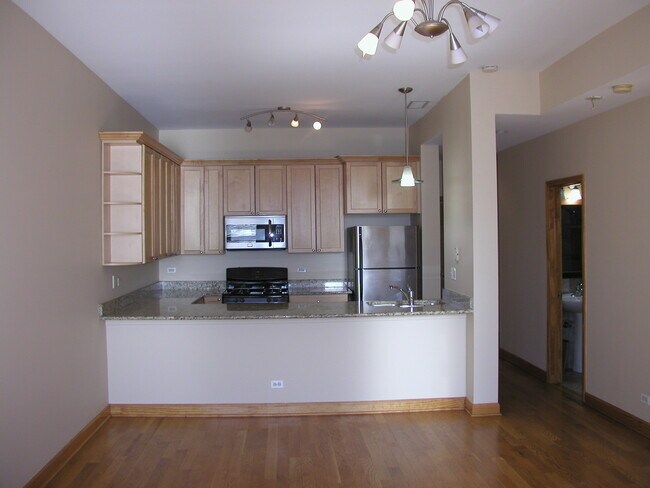 Building Photo - 4520 W Irving Park Rd