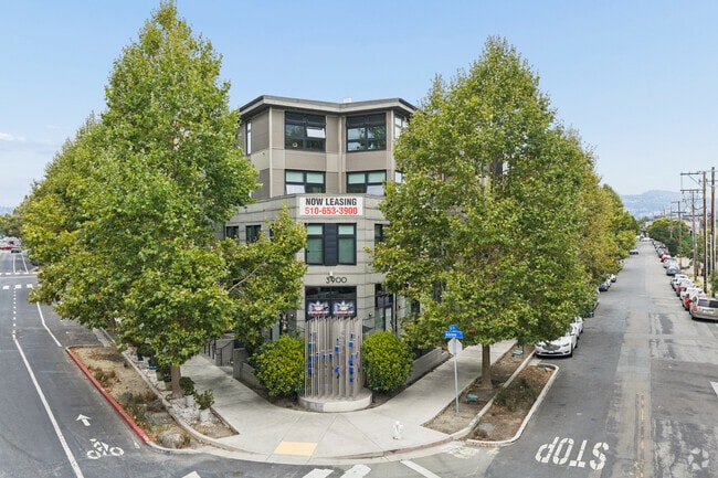Photo - 3900 Adeline Apartments