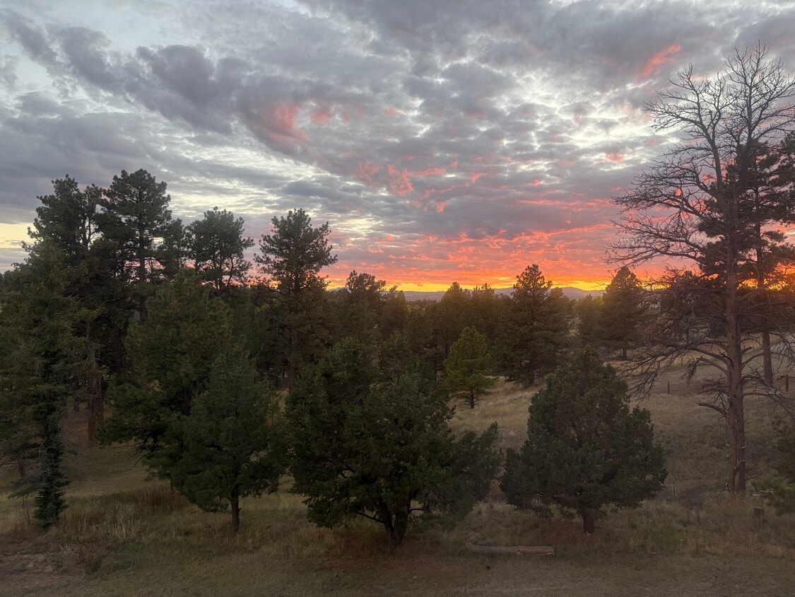 Photo - 8374 Piney Creek Rd (Parker, CO)