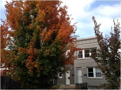 Entrada exterior - 1504 A St NE