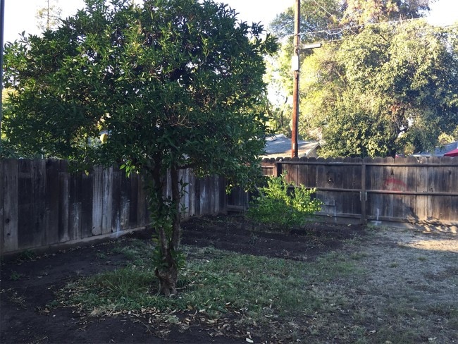 Building Photo - 1501 Del Mar Ave