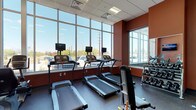 This fitness center is designed to provide a functional and energizing workout environment. The space is defined by a striking wall of floor-to-ceiling windows along one side, flooding the interior with generous natural light and offering open views of the surrounding outdoor area, creating an airy and motivating atmosphere during exercise.

The room features a dark rubberized flooring surface well-suited for gym use, providing both durability and traction. Bold terracotta-red accent walls add a dynamic visual contrast to the neutral tones of the drop-tile ceiling, which houses recessed fluorescent lighting to supplement natural light.

Several treadmills are positioned directly in front of the large windows, each equipped with individual monitor screens for entertainment during cardio workouts. A dedicated free weights area is situated along the adjacent wall, outfitted with a rack of dumbbells in varying sizes to accommodate different training needs. A mirrored wall panel near the weights section enhances the sense of space and supports proper form during strength training. Overall, the fitness center is thoughtfully laid out to support a range of exercise routines in a bright, well-appointed setting.