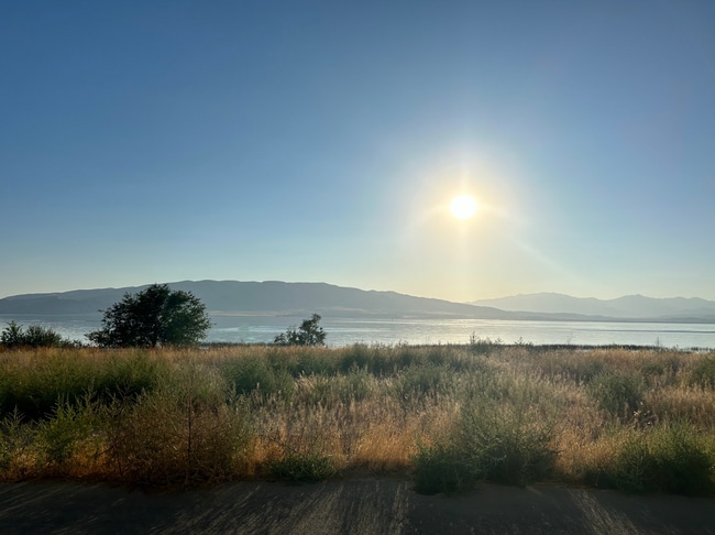 Building Photo - Pet-Friendly Lake View condo