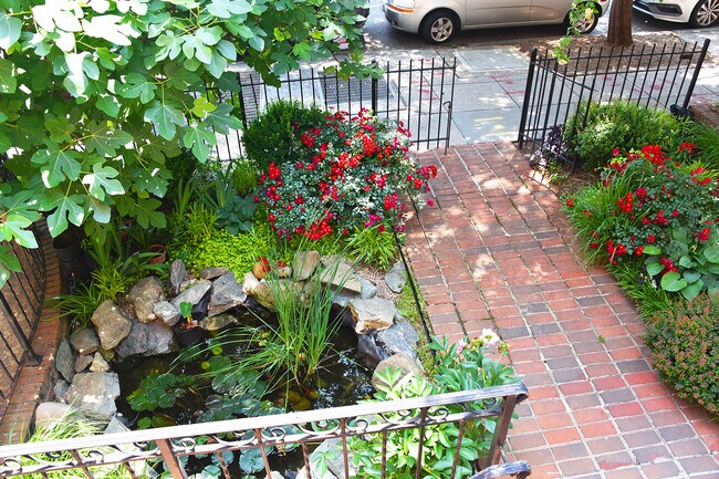 T Street Garden from Plaza - 1801 T St NW