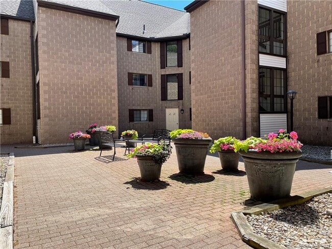 Main Courtyard - 183 Loomis Dr