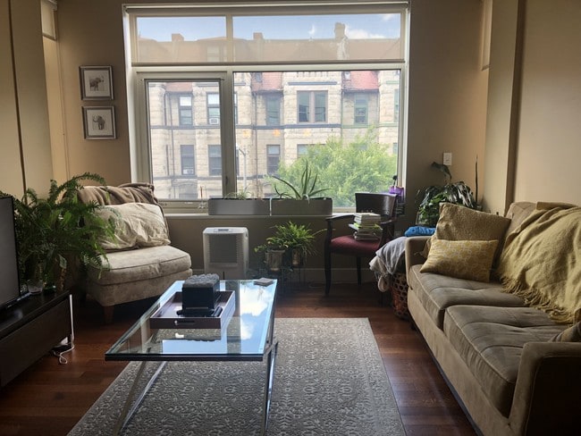 high ceiling open floor plan - 1348 Euclid St NW