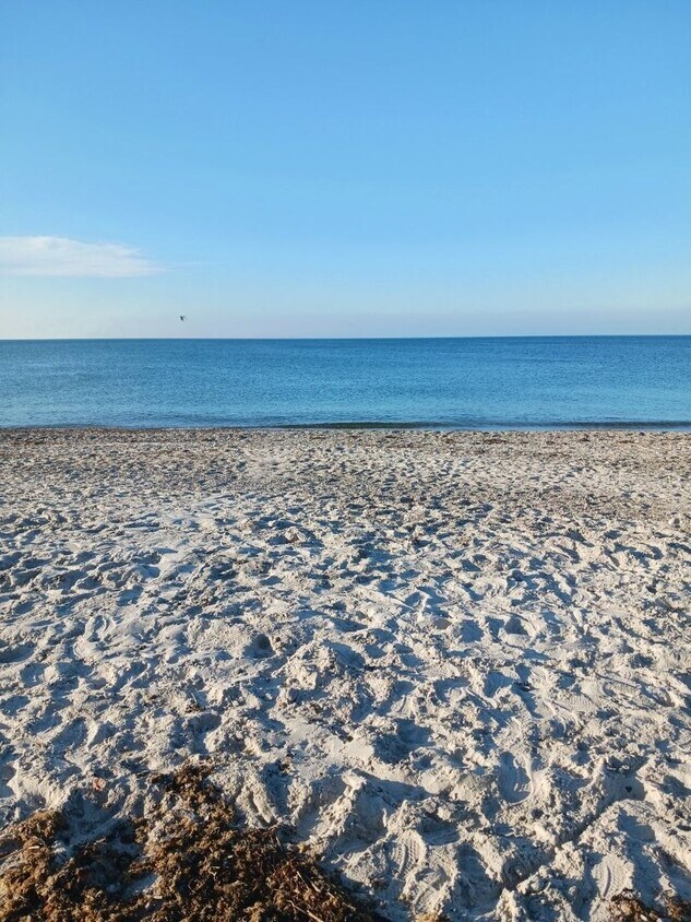 Foto principal - Plymouth/Whitehorse Beach, Fully Furnished...