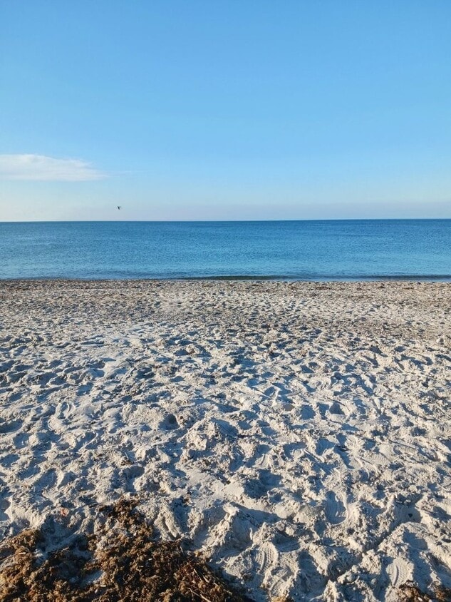 Primary Photo - Plymouth/Whitehorse Beach, Fully Furnished...