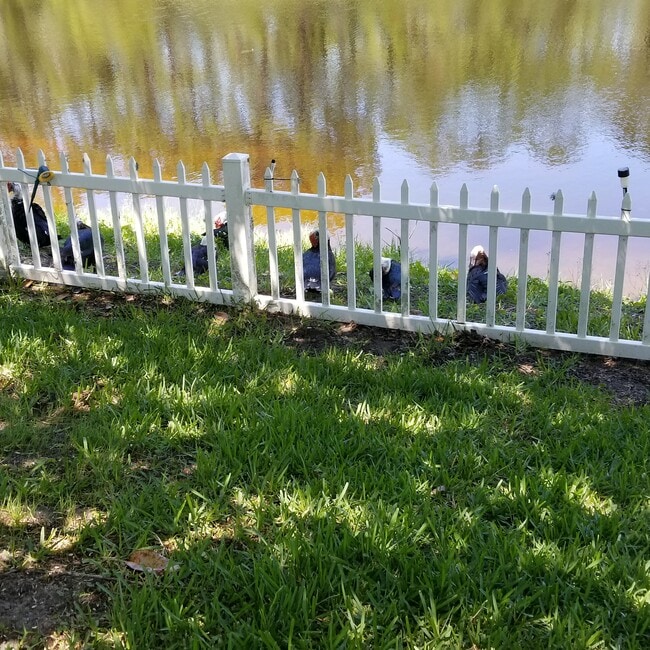 Foto del edificio - 237 N Hidden Tree Dr