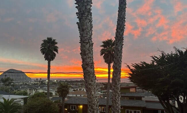 Foto del edificio - 2560 Juniper Ave