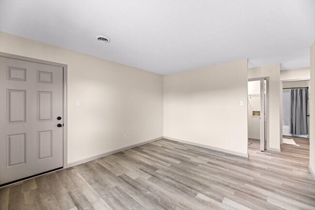 Living room - 4809 Cannon Ridge Dr