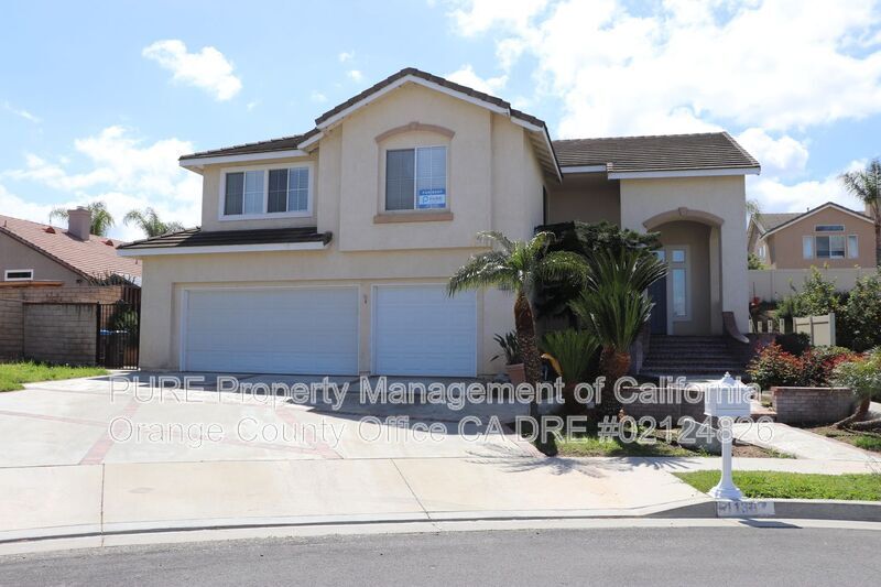 Primary Photo - 1138 Paseo Tasco Cir
