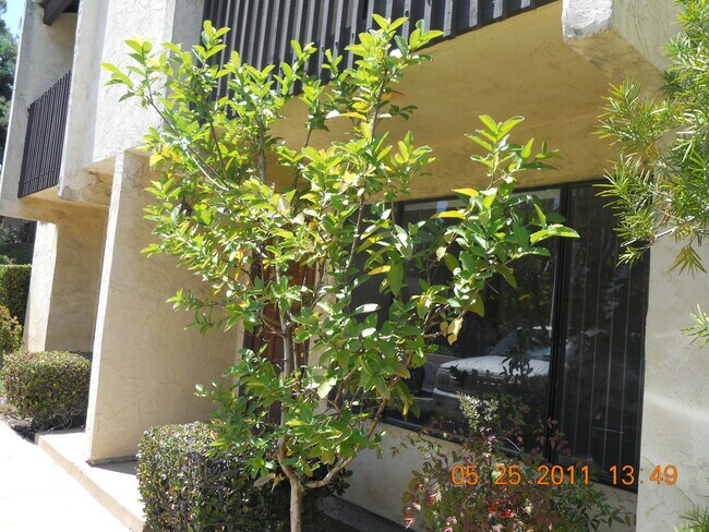 Foto del edificio - Available Now! 2BDRM/1.5BATH CONDO IN SAN DIEGO