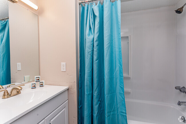 2BR 1 BA 1000 SQFT - Bathroom - The Enclave at 3726