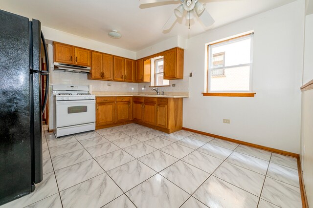 Building Photo - 2439 N 77th Ct
