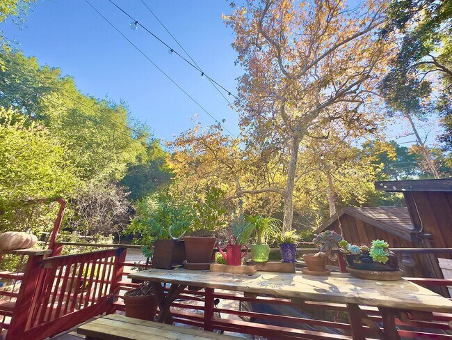 Building Photo - 21513 Highvale Trl