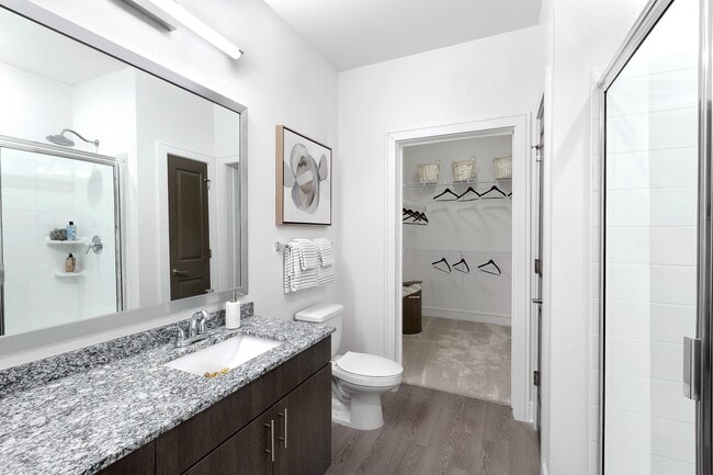 Bathroom with Walk-In Closet - The Adley Craig Ranch Apartments