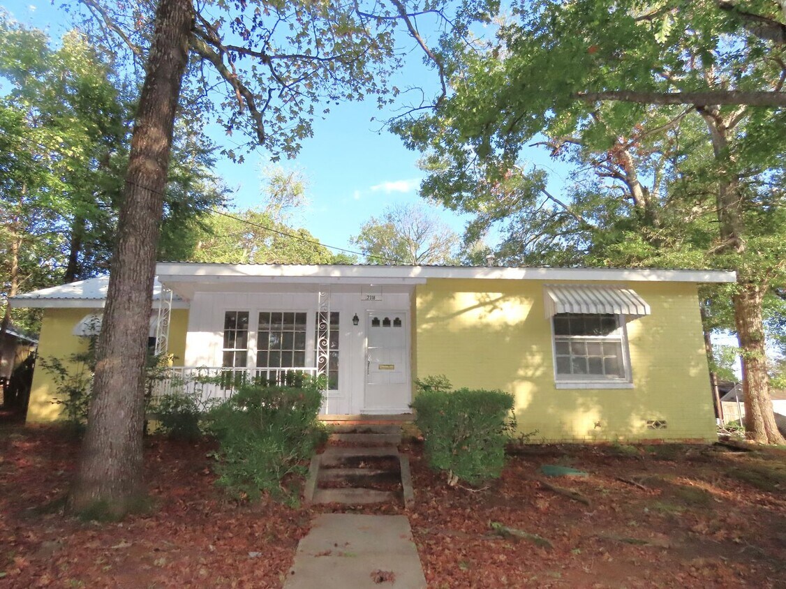 Primary Photo - Unique 2 Bedroom, 2 Bath Home in Tyler!