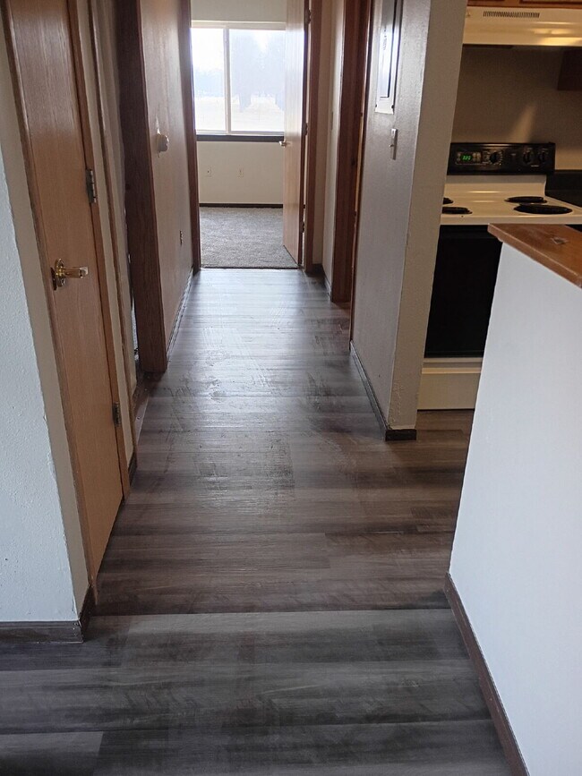 Building Photo - 1 Bedroom |1 Bathroom 1st Floor Unit in Oelwein - Available June!