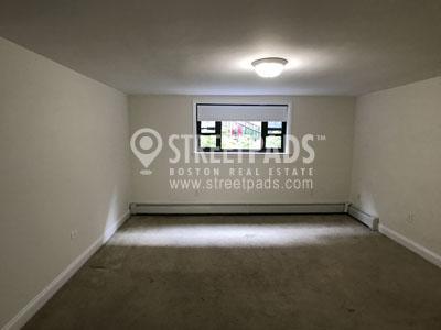 Foto principal - 1 bedroom in Brookline MA 02446