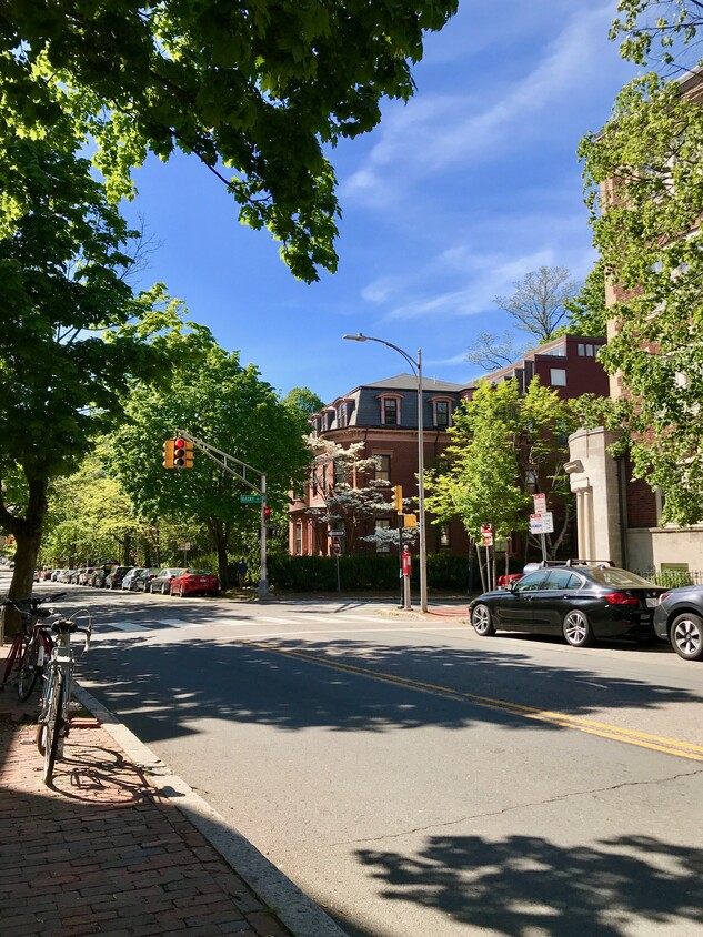 Primary Photo - 356 Harvard St