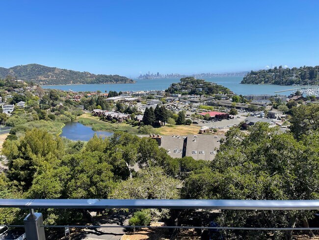 Bigger view from your deck - 45 Harbor Oak Dr