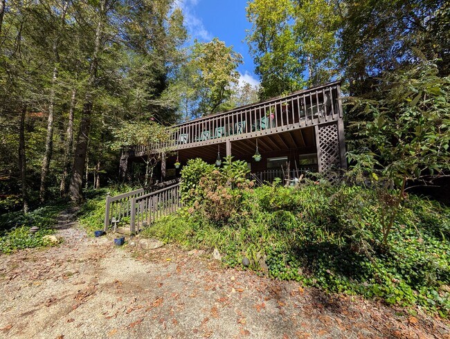 Foto del edificio - Furnished Montreat Basement Apartment! - Utilities Included