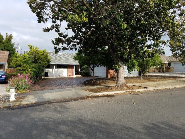 outside front - 374 Clarence Ave