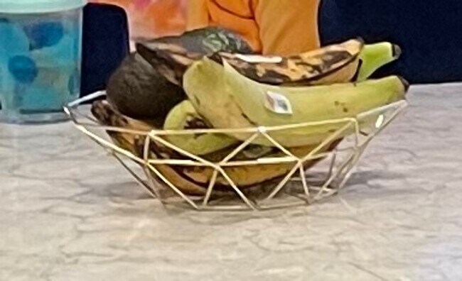 Foto del edificio - Charming 3BR House in Ocala