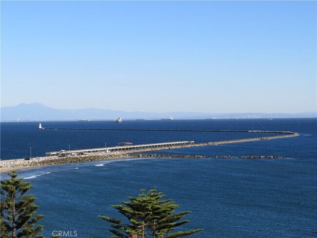 Foto del edificio - 3935 Bluff Pl