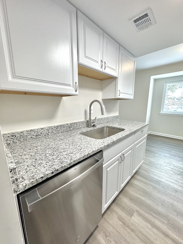 granite countertop, stainless steel sink & dishwahser - 19649 Club Lake Rd