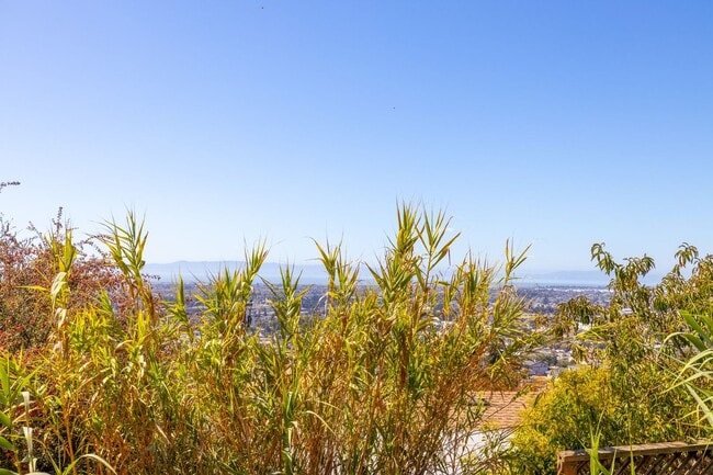 Building Photo - Studio with incredible views of the Bay!