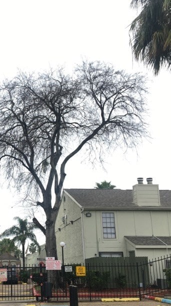 Building Photo - 8714 Village of Fondren