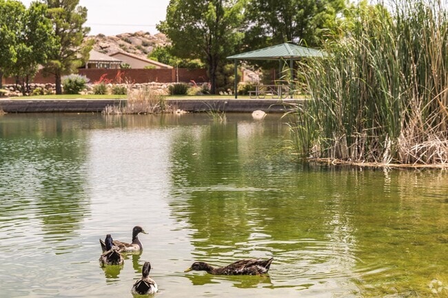 Razor Ridge Park is a great place to get outdoors and enjoy nature around Washington.