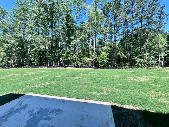 Foto del edificio - 258 Palm Dr