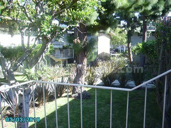 Primary Photo - 11131 Rose Ave