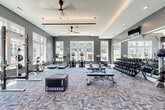 Located at 7001 Clementine Trl in Fairburn, Georgia, this fitness center offers a spacious, single-floor layout designed to accommodate a comprehensive range of workout routines. The interior is finished with stylish gray horizontal shiplap walls, a patterned multi-tone carpet floor, and a tray ceiling accented by recessed lighting and linear LED strips. Multiple ceiling fans are distributed throughout, ensuring comfortable airflow during workouts.

Large, white-trimmed windows line multiple walls, flooding the space with generous natural light and providing views of the surrounding outdoor areas, including a glimpse of a pool and neighboring architecture. The open floor plan is thoughtfully organized to house a wide variety of equipment. Cardio offerings include treadmills and elliptical machines positioned along the windowed walls. A dedicated strength training zone features power racks, a functional trainer cable machine, adjustable benches, and a full dumbbell rack alongside kettlebell storage. A mirrored wall section and a plyo box round out the functional fitness area.

A compact built-in counter provides a convenient station near the entrance, complete with space for accessories and a small plant adding a touch of warmth. The overall ambiance is modern, clean, and energizing, making this fitness center a well-appointed facility for residents in the Fairburn community.