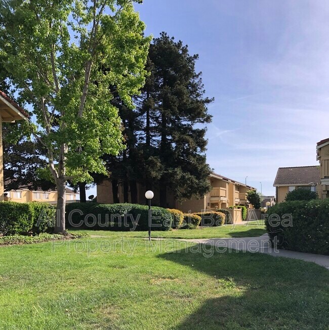 48 Las Moradas Cir, San Pablo, CA 94806 Condo for Rent in San Pablo
