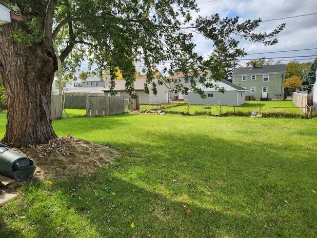 Backyard - 72 Montfort Dr