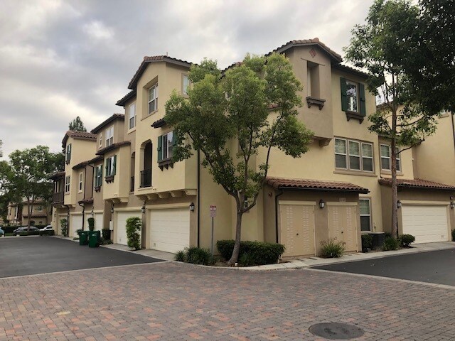 Foto principal - 30 Perennial