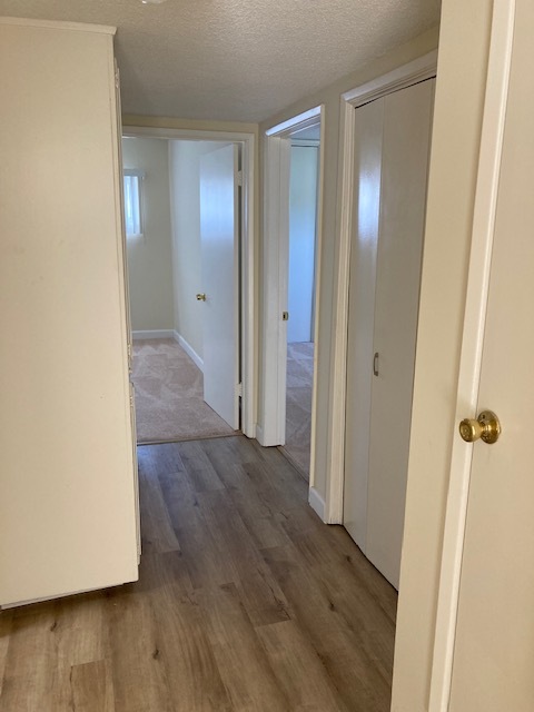 Hallway - 6432 Agnes Ave