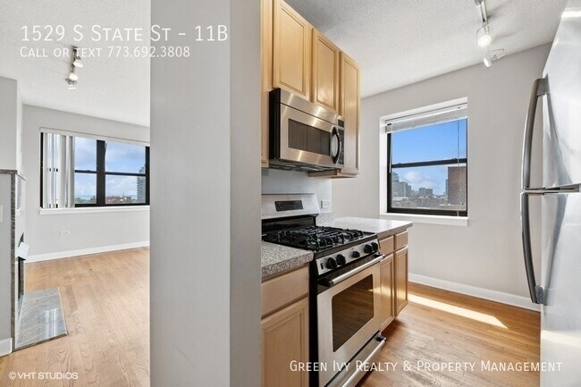 Building Photo - Amazing 2 bed/2 bath in the South Loop