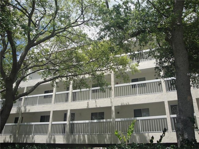 Waterfront Apartments Clearwater Fl Waterfront Apartments Clearwater Fl